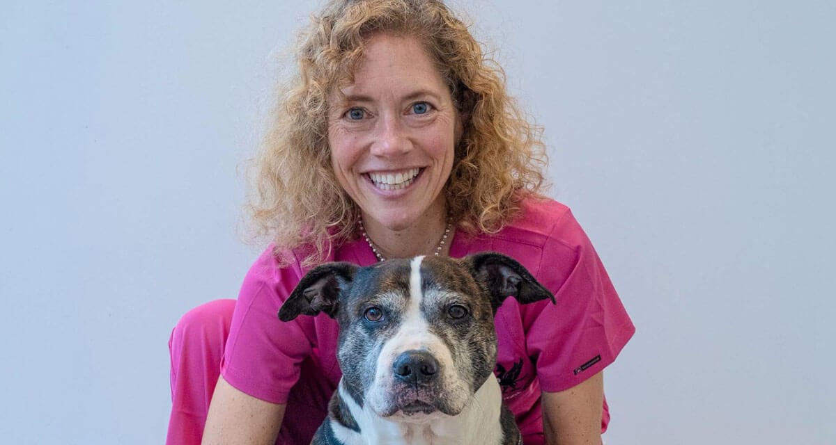 Meet Danielle, vet surgeon from Liverpool Vets