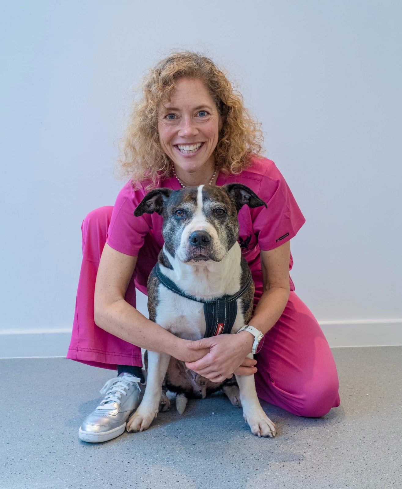 Meet Danielle vet surgeon from The Liverpool Vets Kara UK