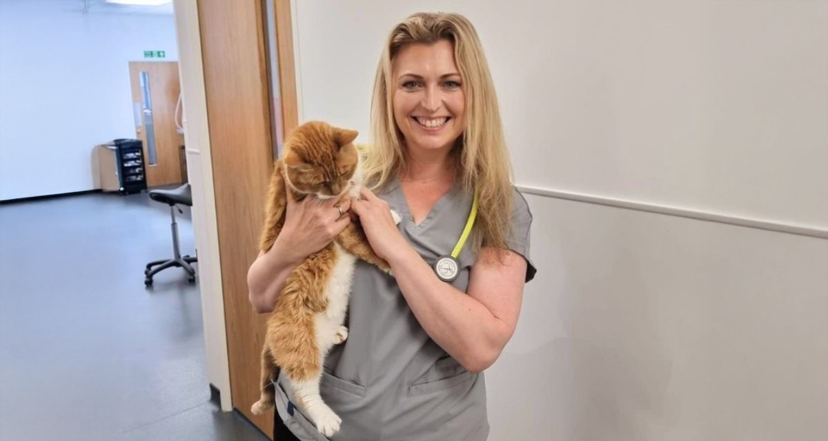 What cat the vet thinks of our brand new vet workwear – Kara edit scrubs